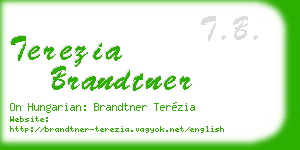 terezia brandtner business card